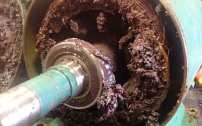 Avoiding Motor Meltdown: The Pitfalls of Over-Greasing Electric Motors